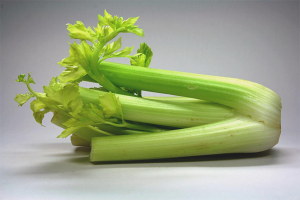  How to grow celery in the garden