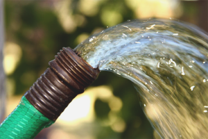  So finden Sie Wasser für einen Brunnen