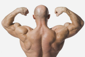  Miten rakentaa lihaksia takaisin