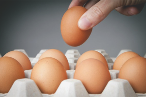  Come controllare la freschezza dell'uovo