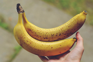  วิธีเก็บกล้วย