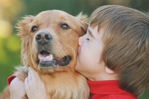  Cómo persuadir a los padres para que compren un perro.