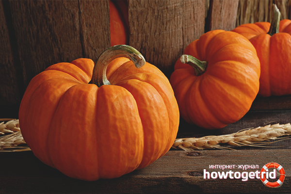 how-to-store-cut-pumpkin-at-home