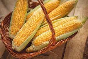  Kako pohraniti kukuruz