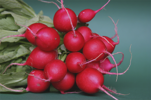  How to store radishes