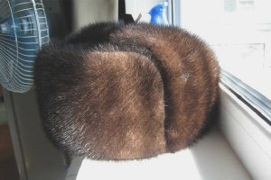  How to clean a mink hat