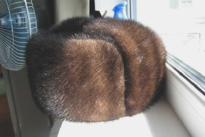  Paano linisin ang isang mink helmet