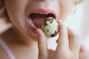  Como cozinhar ovos de codorna para uma criança