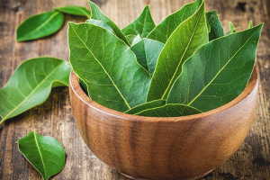  The benefits and harm of bay leaf