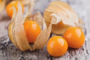  Los beneficios y perjuicios de Physalis.