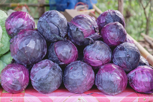  Ang mga benepisyo at pinsala ng pulang repolyo