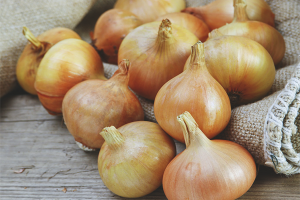  The benefits and harm of onions