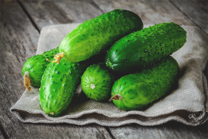  The benefits and harm of fresh cucumbers