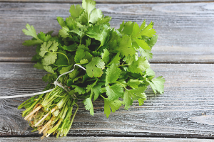  Los beneficios y perjuicios del cilantro.