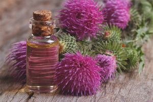  The benefits and harm of milk thistle oil