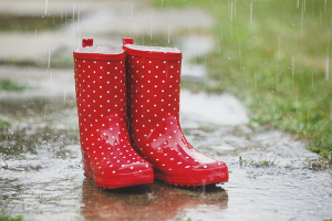  How to choose rubber boots for a child