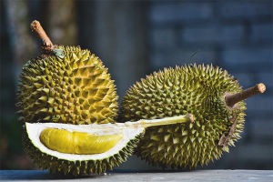  Los beneficios y daños del durian.