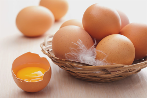  Los beneficios y perjuicios de los huevos de gallina.