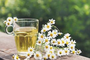  The benefits and harm of chamomile infusion