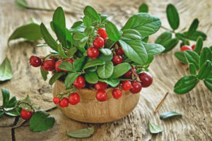  خصائص مفيدة وموانع من lingonberry