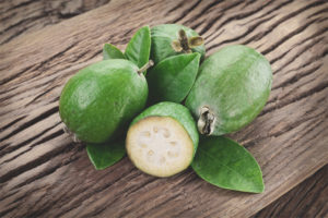  feijoa의 유용한 특성 및 금기 사항