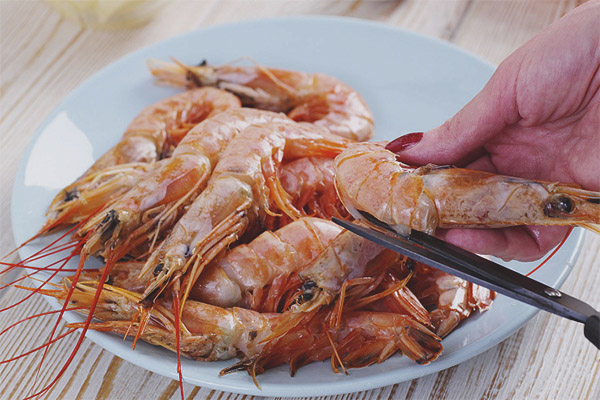  Shrimp during pregnancy