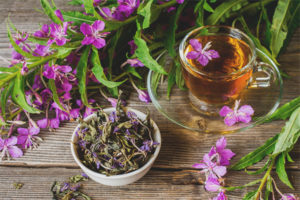  Propriedades úteis e contra-indicações do chá de ivan