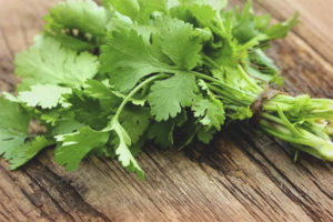  คุณสมบัติที่เป็นประโยชน์และข้อห้ามของ cilantro