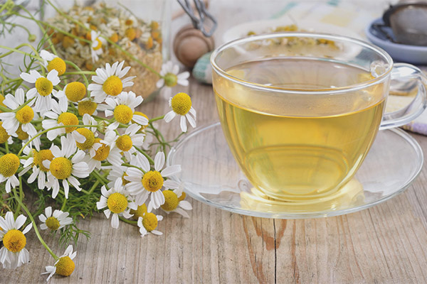 chamomile tea for pregnant women