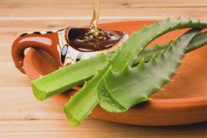  Aloe dengan batuk madu