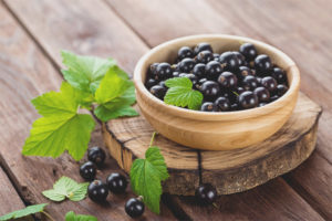  Useful properties and contraindications of black currant