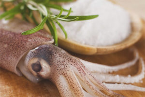  The benefits and harm of squid