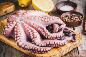  The benefits and harm of octopus