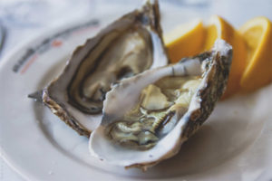  The benefits and harm of oysters