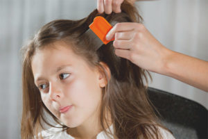  Cómo contraer piojos y liendres en un niño.