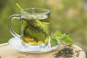  The benefits and harms of nettle tea