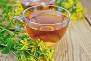  The benefits and harm of hypericum tea