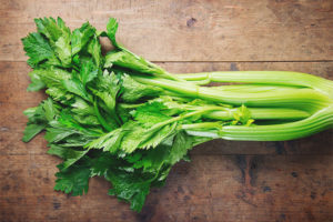  Dojenje celer