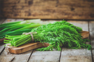  Breastfeeding dill