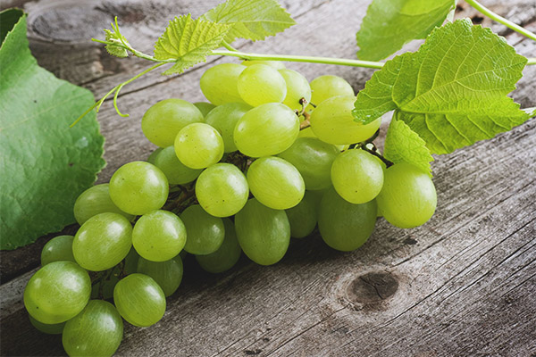  Grapes during pregnancy