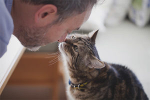  Cum să înțelegi că pisica te iubește