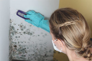  Cum să eliminați mucegaiul din pereții apartamentului