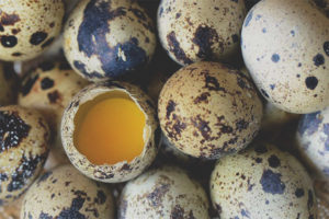  Ar galima valgyti žalias putpelių kiaušinius